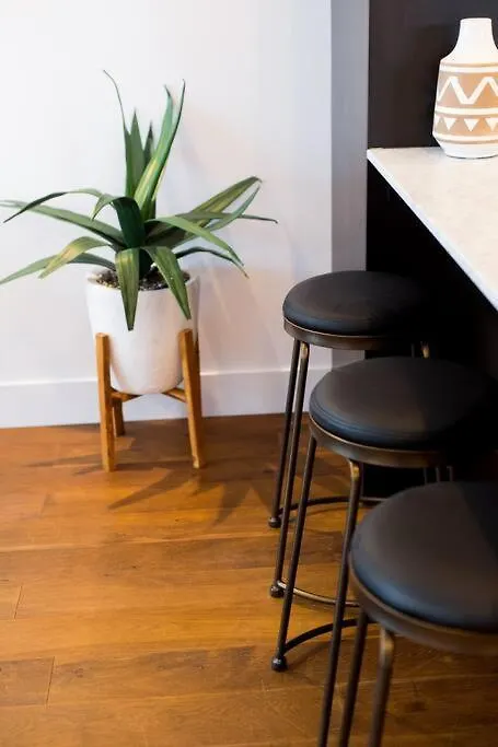 Apartment Sleek Condo In The Heart Of Little Italy By Den Stays Montreal